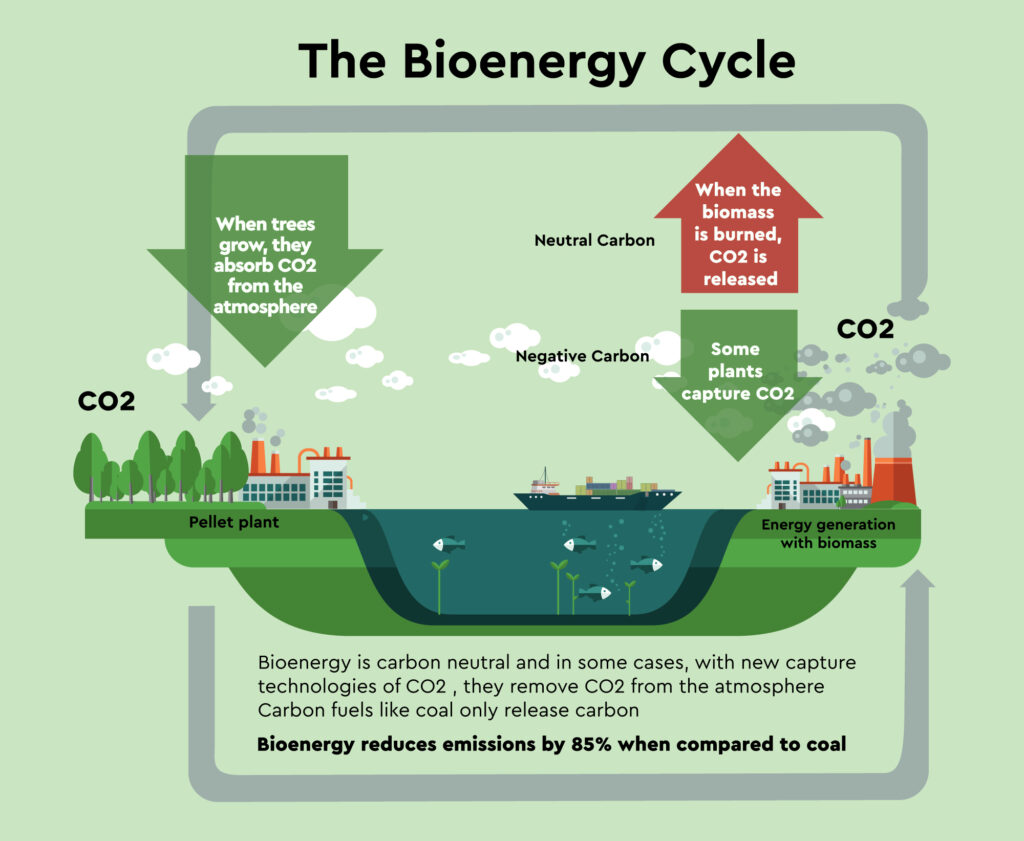 ILUSTRACION-CO2INGLES3